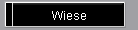 Wiese