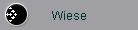 Wiese